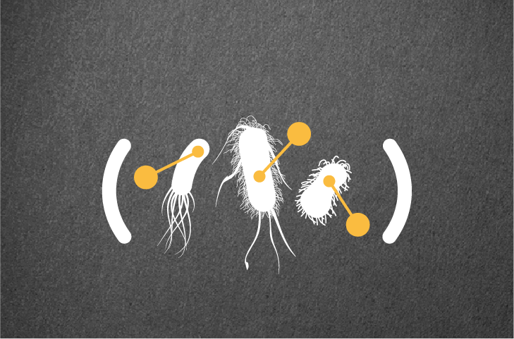 Understanding MBLs and carbapenemases.png