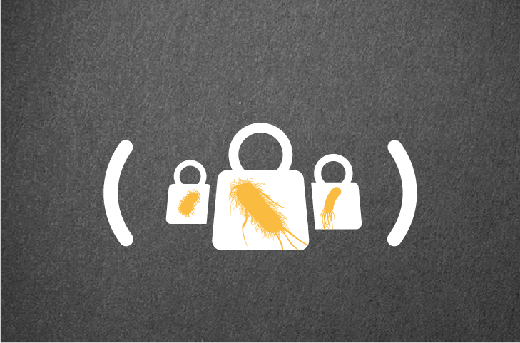 metallo β lactamase MBL infection burden Enterobacterales